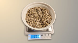 A close-up of sunflower seeds on a scale for Ottolenghi's Roasted Cabbage with Sunflower Tahini recipe test. Photo by Charles Malene for MoodyEater™