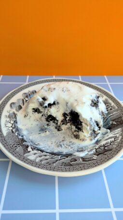 Révolution Réchauffé 03: Black Velvet Cake Parfait on Wedgewood plate. Photo by Charles Malene for MoodyEater™