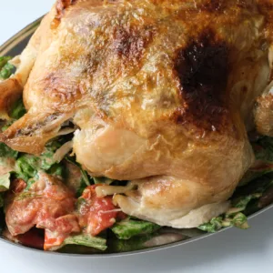 Close-up of Cafe Cecilia's Roast Chicken with Datterini Tomatoes, Baby Gem, and Aioli Salad partially eaten. Photo by Charles Malene for MoodyEater™
