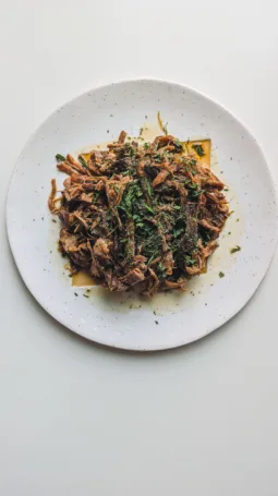 Shredded soy-braised beef chuck topped with herbs. Photo by Charles Malene for MoodyEater™